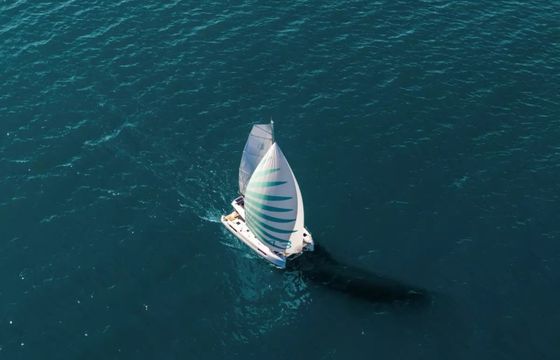 Lagoon 43