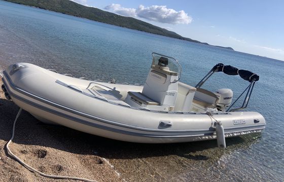 Zodiac Open pro 550