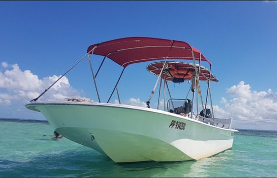 Carolina skiff 239