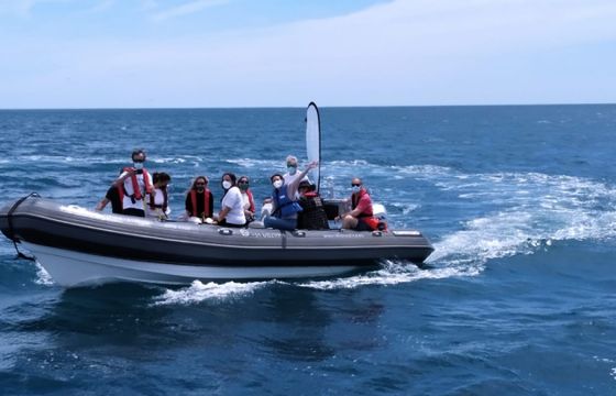 Vanguard DR 760