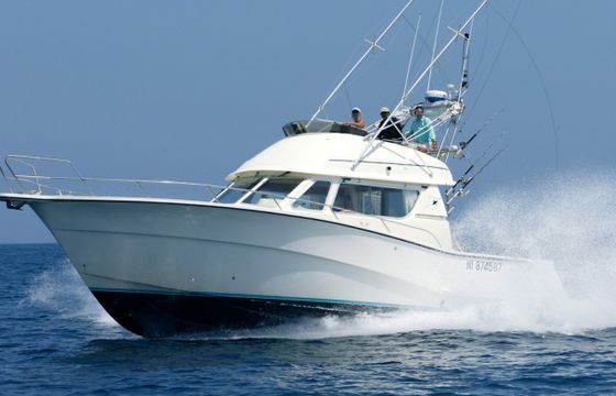 Rodman 1250