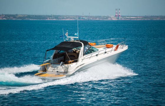 Sea Ray 455 Sundancer