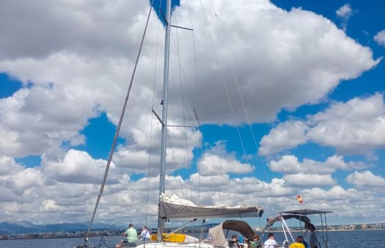 Salona 41