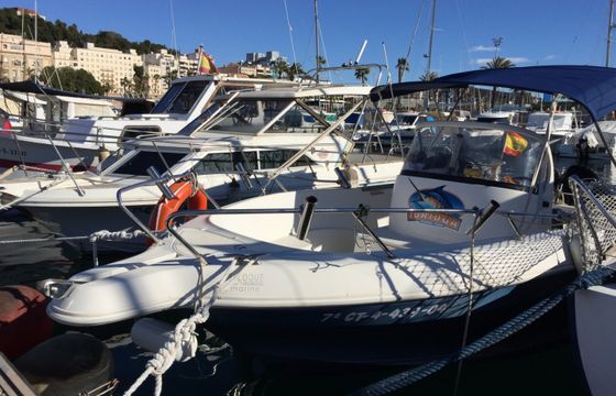 Quicksilver 630 Commander