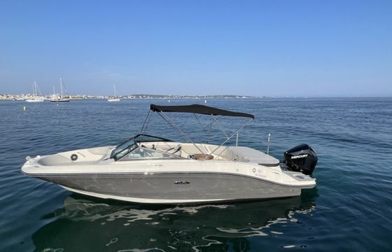 Sea Ray SPX 210