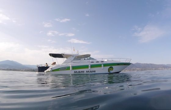 Sea Ray 370 Sundancer