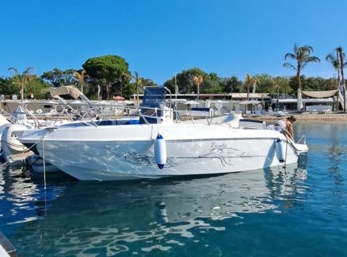 Tancredi Blumax 23