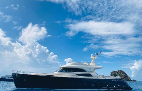 Mochi Craft Dolphin 74