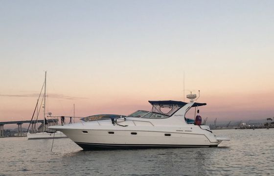 Cruisers 37
