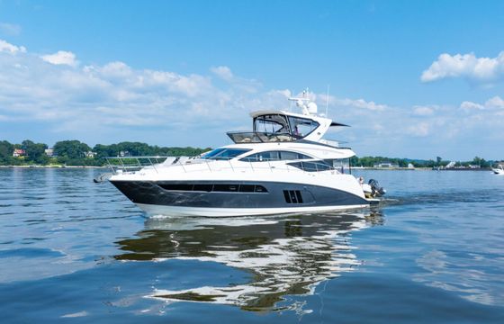 Sea Ray Sea Amber