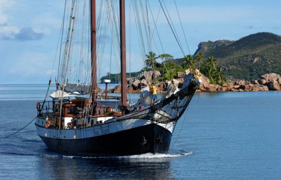 Custom Made Schooner