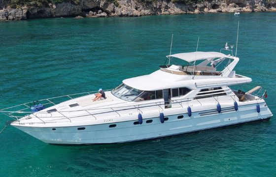 Princess 65