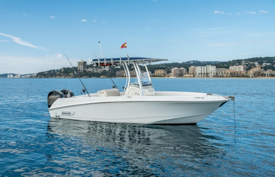 Boston Whaler 220 Outrage