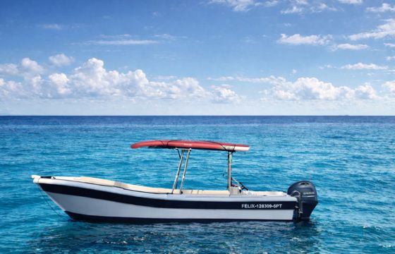 Dipol Motorboat