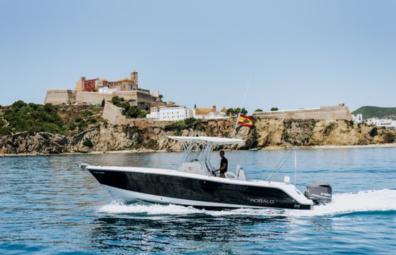 Robalo 300