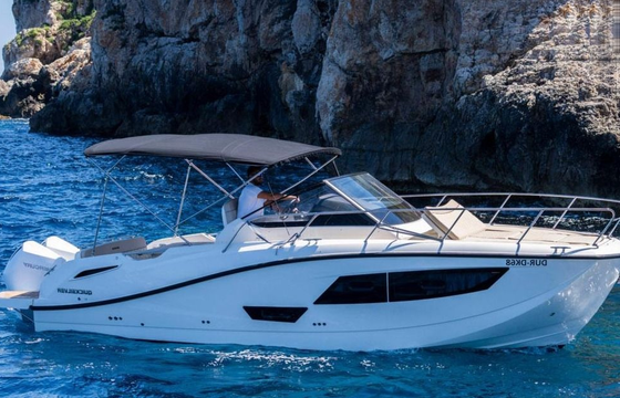 Quicksilver Activ 875 Sundeck