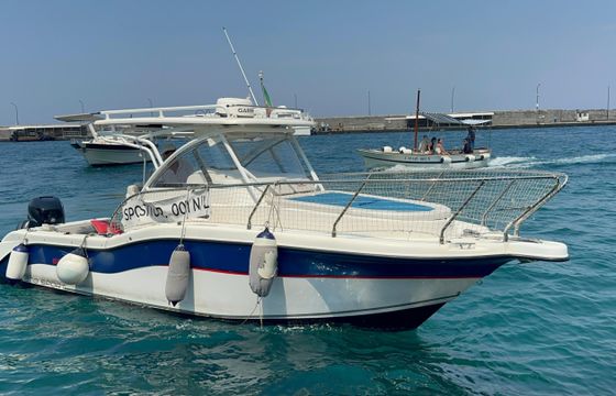 Seagame 270 sport