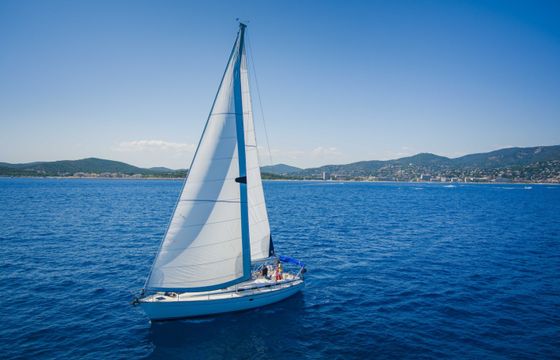 Bavaria 50