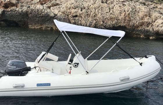 Golden chip Venus 4,20