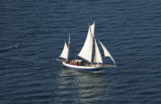 Iroko-Et-Chene Dundee