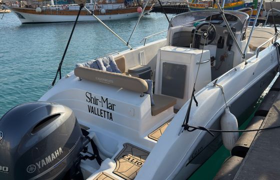 Calion 23 WA