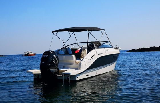 Quicksylver Activ 805 Cruiser