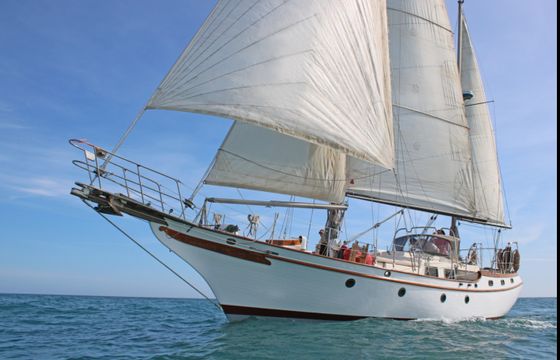 Blue-Water Vagabond 47