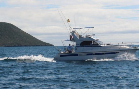 Doqueve 360 FISHERMAN