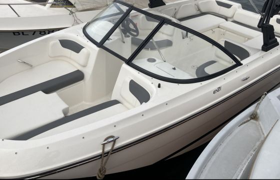 Bayliner Element E21