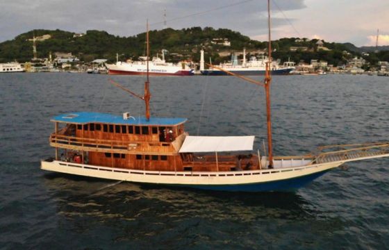 Adventure VESTA 550