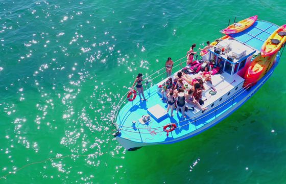Handcrafted Boat Tradicional Portuguese