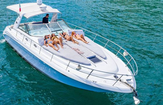 Sea Ray 460