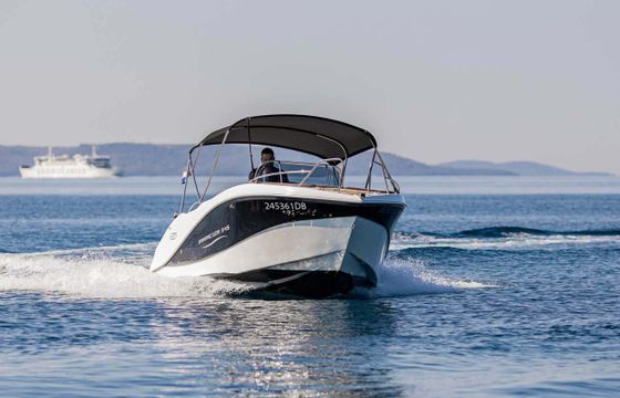 Barracuda 545