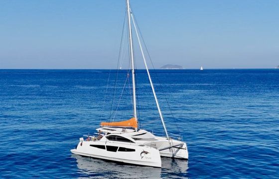 C-CAT 37