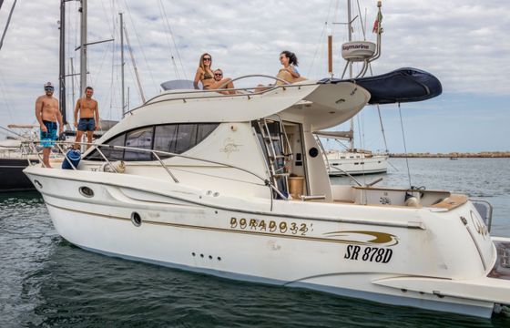 Sessa Marine Dorado 32