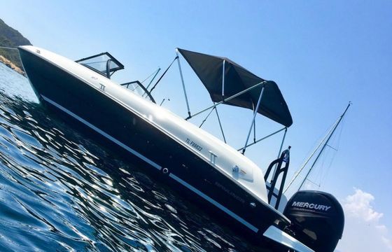 Bayliner Element E7