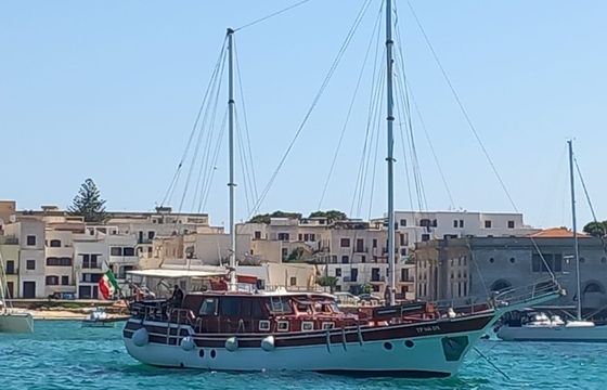 Hasan Ali Bayar CAICCO