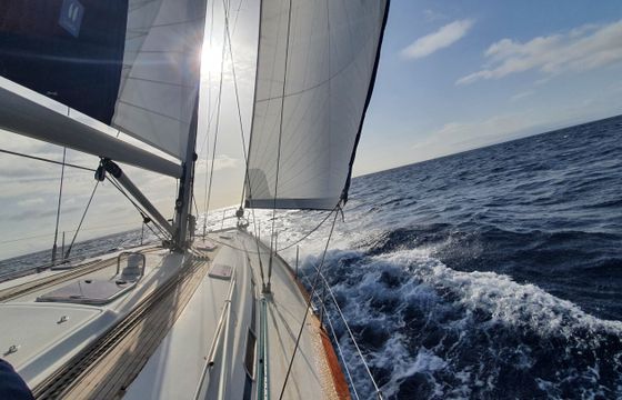 Bavaria 49