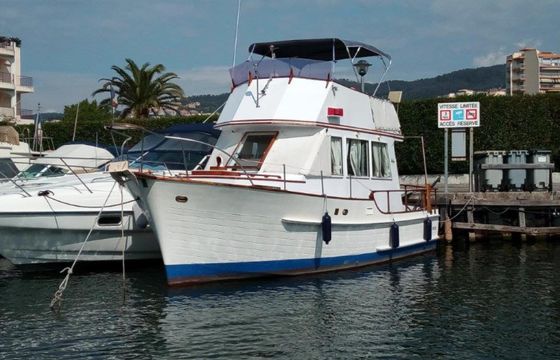 Island Gypsy 36