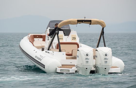 MV Marine Mito 29