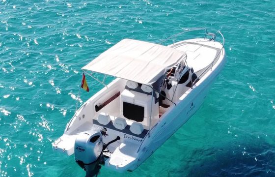Ayros 24