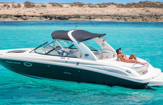 Sea Ray 290 SLX