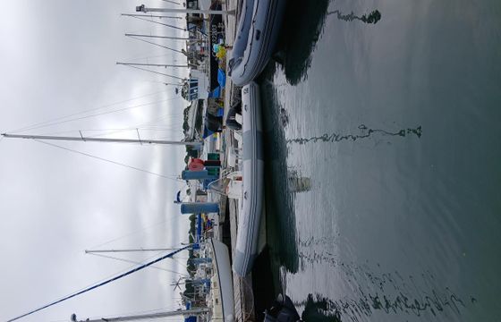 Zodiac Pro Open 550