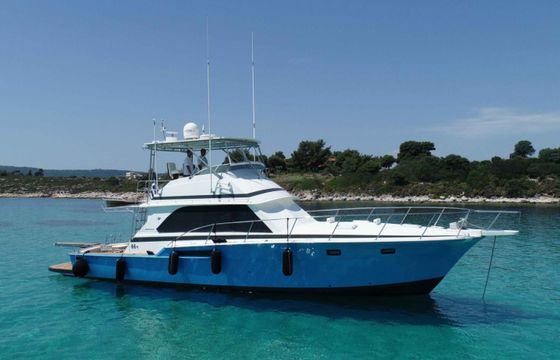 Bertram 46.6 convertible flybridge