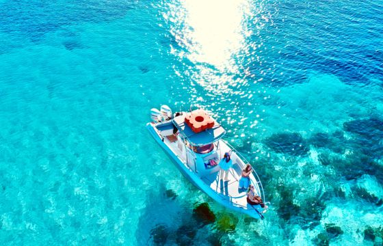 Costa Viola Cerion27.7