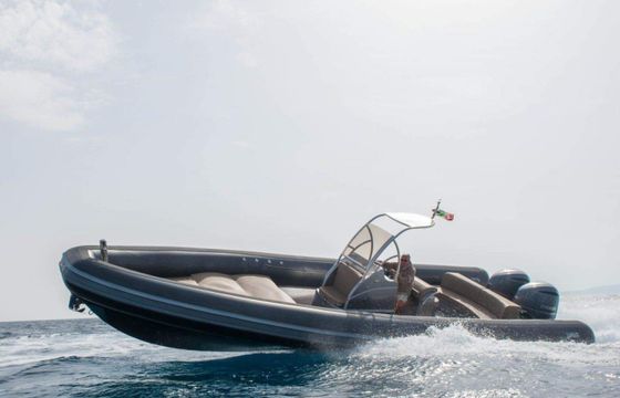 Sea Water Phantom 300