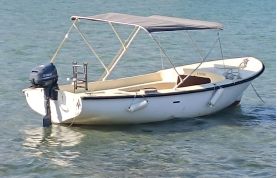 Elan 490