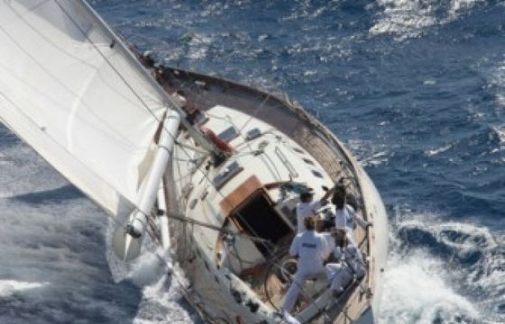 Sangermani Course croisière