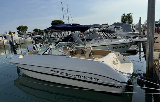 Stingray 220 DS