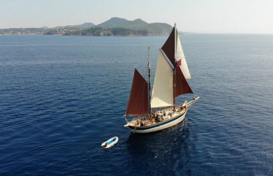 Ketch Aurique